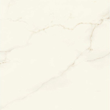 Керамогранит Atlas Concorde Italy AFVJ Marvel Calacatta Apuano Silk 120x120