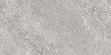 Керамогранит Global Tile GT5010027401MCR Виталити Серый 50x100