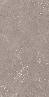 Керамогранит Artcer 1070 Monte Taupe Carv 120x60