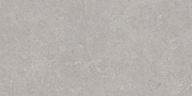 Керамогранит Peronda 35568 Ghent Grey/50X100X2/A/R 50x100