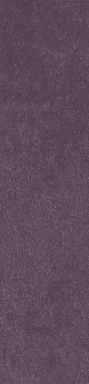 Керамогранит Simpolo Ceramics Scs Spectra Wine Glossy 5,8х25