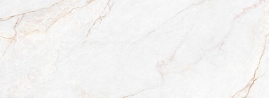 Керамогранит Peronda 39497 Dahlia White PS 100х275