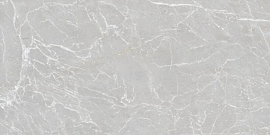 Керамогранит Duna Eternal Grigio Carving 60x120