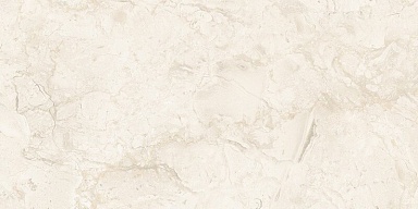 Керамогранит NT Ceramic NTT99523C Stone Almond Endless 60x120
