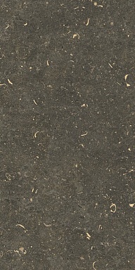 Керамогранит Casa Dolce Casa 785503 Rinascenza Arena Platino Grip 30x60