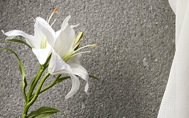 Керамогранит Iris Ceramica 8929986 Victorian Stone Silver Grey Flamed 120x60