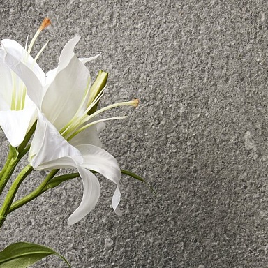 Victorian Stone Iris Ceramica
