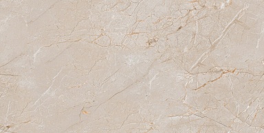 Керамогранит A-Ceramica Eco MR-12059 Matt 60x120