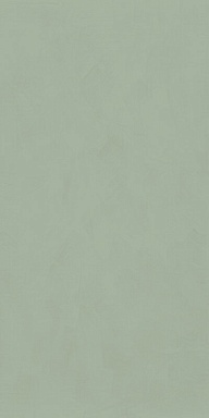 Керамогранит Cedit 764046 Policroma Lichene Mat Ret 6mm 120x240