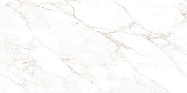 Керамогранит NT Ceramic NTT99526M Marble Extra Endless 60x120