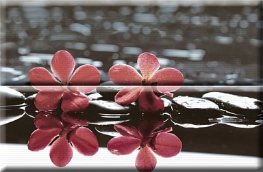 Панно Absolut Keramika Composicion Wellness 02 Red 30x45 (комплект 2шт)