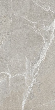 Керамогранит LB-Ceramics 6493-0145 Гроза серо-бежевый 60х120