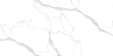 Керамогранит NT Ceramic NTT99512M Statuario Ultra White 60x120
