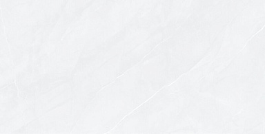 Керамогранит Pardis Ceramic Pazh 176513 Fluorite Polished 60x120