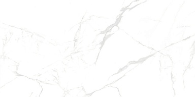 Керамогранит NT Ceramic NTT99607M Callacata carving 60x120