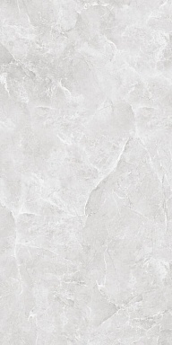 Керамогранит BELLEZA Cr Ambition Silver Carving 60х120