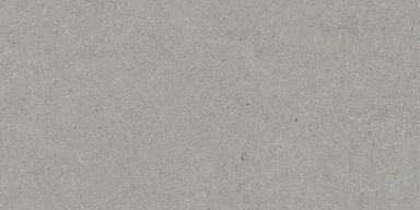 Керамогранит Tau Ceramica Calcare Silver 60x120