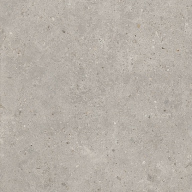 Керамогранит Kerama Marazzi SG653720R Риккарди серый светлый матовый обрезной 60x60