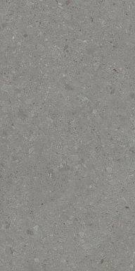 Керамогранит Kerama Marazzi DD591500R Чеппо ди Гре серый тёмный матовый обрезной 119,5x238,5x1,1
