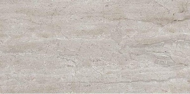 Керамогранит Art&Natura Ceramic Dianox Grey Glossy 60x120