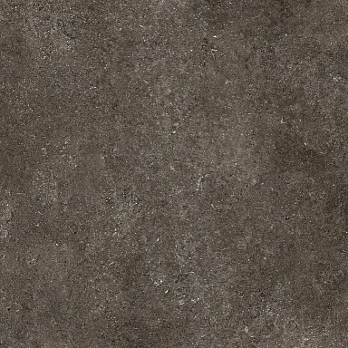 Керамогранит Casa Dolce Casa 768560 Sensi Brown Fossil Nat Ret 6mm 120x120