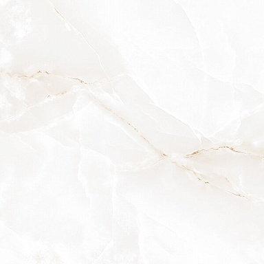 Керамогранит Absolut Gres AB1021G Onix Mapple gloss 600x600