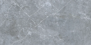 Керамогранит Gresse GRS02-16 Northern Silver матовый 120x60