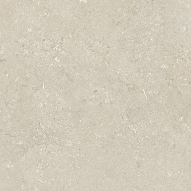Керамогранит Dado Ceramica 005848 Shellstone Beige 120x120