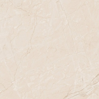 Lizzard Ocean-Ceramic