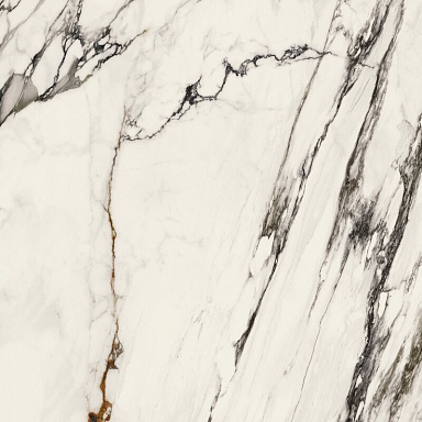 Керамогранит Porcelanosa 100331160 Xlight Paonazzo Biondo Silk 120x120