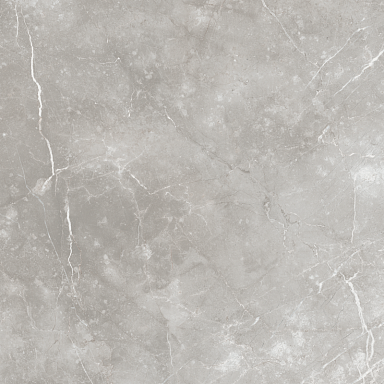 Керамогранит Italon 610010000781 Charme Evo Imperiale 60x60
