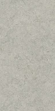Керамогранит Italon 610010004168 Forum Stone Silver Ret 60x120