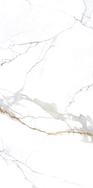 Керамогранит NT Ceramic NTT3000M Carrara Gold Mat 120x240