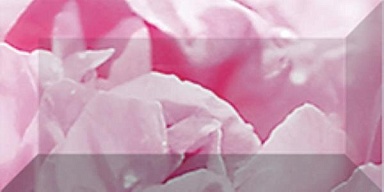 Laparet Бордюр рельефный Peony br1020D281-2 20х10