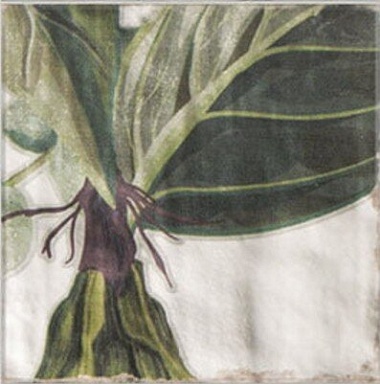 Декор Mainzu Decor Protea 20x20