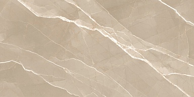 Керамогранит New Trend 60120ESE21P Essential Marron полированный 600x1200x7