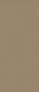 Керамогранит Janye Slab JS6025P Ceramic Color Matt 120x280
