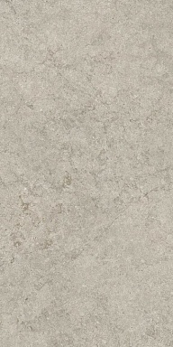 Керамогранит Coliseumgres 610010003142 Саленто Грэй Рет 60x120