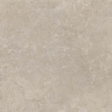 Керамогранит Creto 8160 Shell LB 60х60