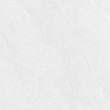 Керамогранит Pardis Ceramic Pazh 166513 Fluorite Polished 60x60