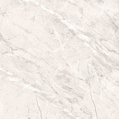 Керамогранит PrimaVera TP66M17 Пантир матовый 60x60