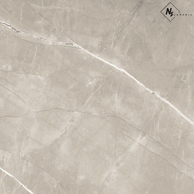 Керамогранит NS Ceramic NSC8039 Серо-коричневый матовый 80x80