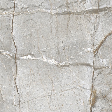 Pulsar Grey Laparet