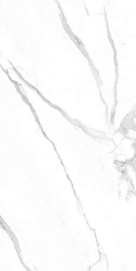 Керамогранит Eurotile 903 STATUARE 80х160