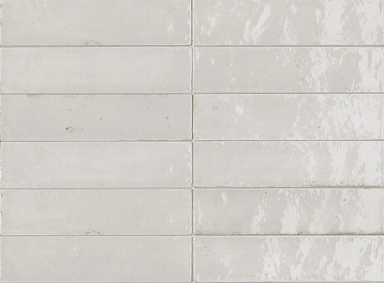Керамогранит Ragno Marazzi R8FM Look Bianco Glossy 24x6