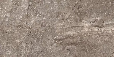 Керамогранит Leopard 6405 Stone Grey Polished 60x120