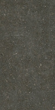 Керамогранит Casa Dolce Casa 785577 Rinascenza Arena Platino Matte 6mm 60x120