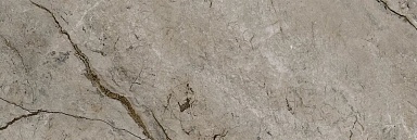 Плитка Eurotile 800 Passion Dark 29.5x89.5