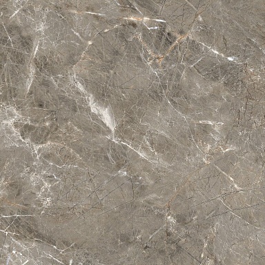 Керамогранит Royce R_NR1011 Olympia Grey Matt 60x60
