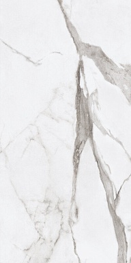 Керамогранит Ariana Ceramica PF60004974 Epoque White Statuario Lap 60X120